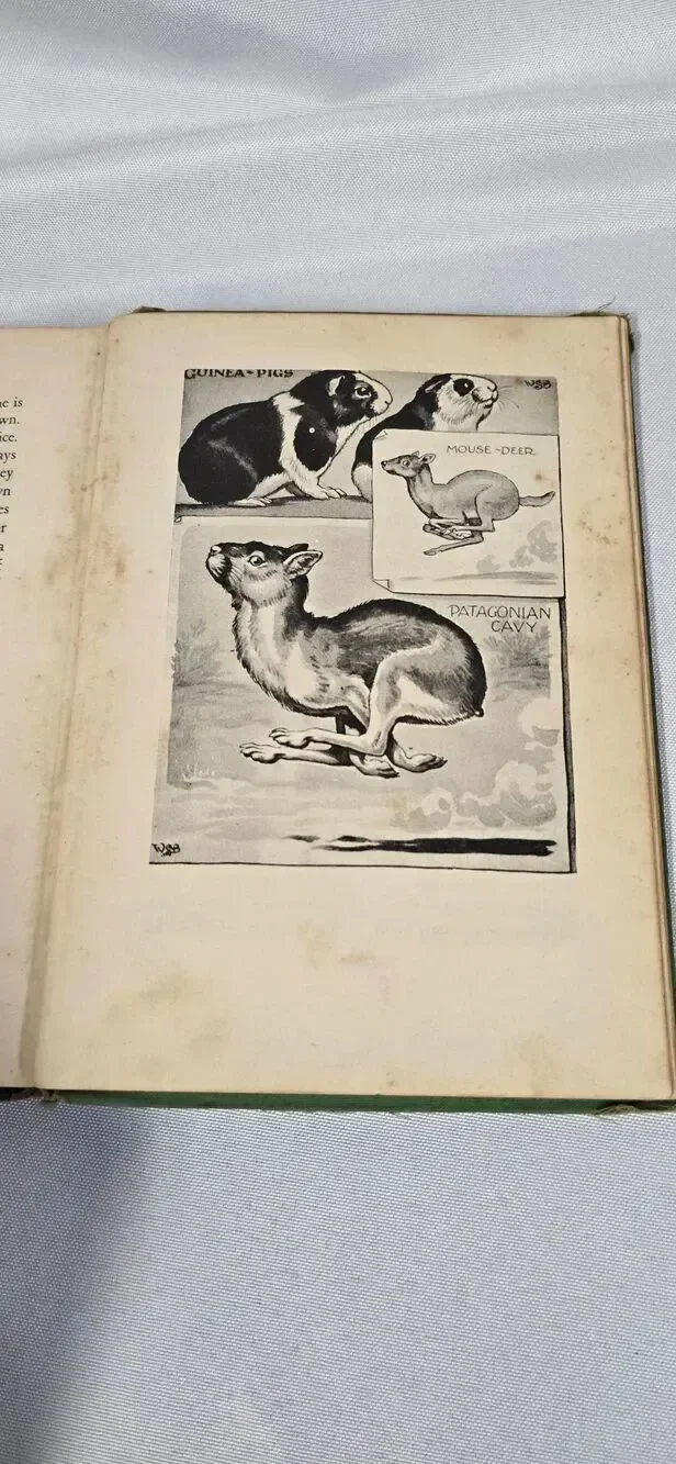 1939 hardcover edition 